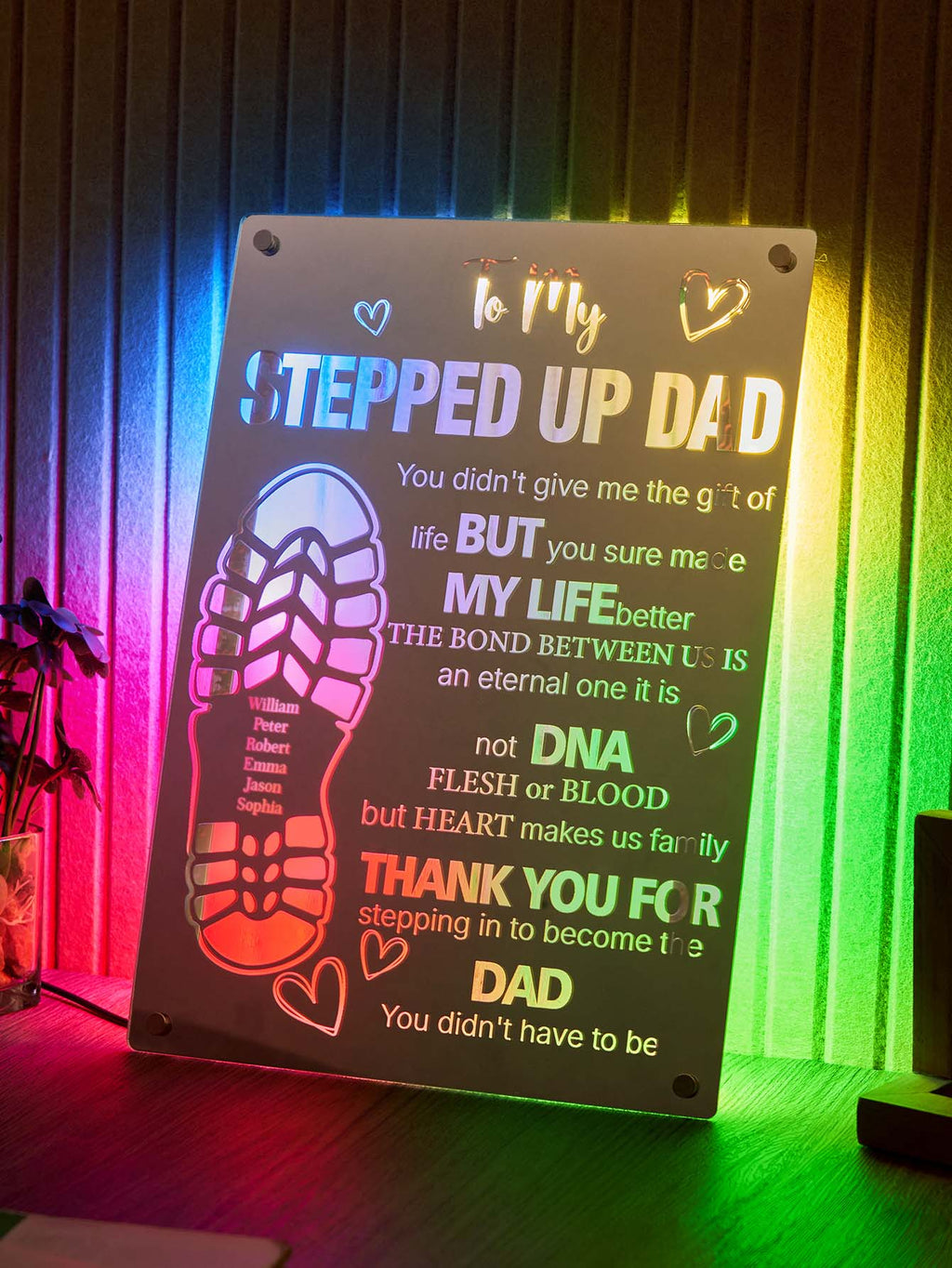 Dad Mirror Light