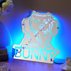 Pet Mirror Light