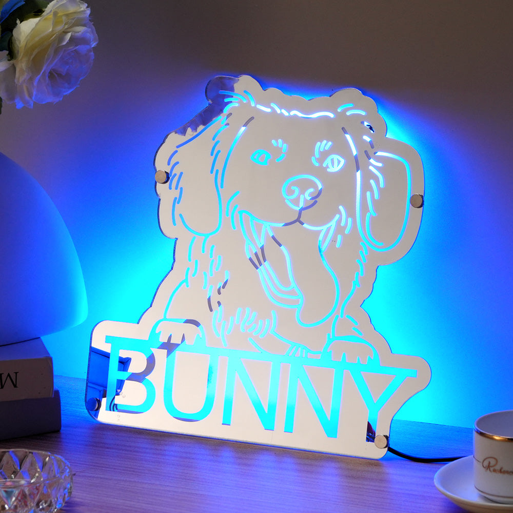 Pet Mirror Light