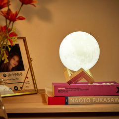 Lunar Moon Lamp