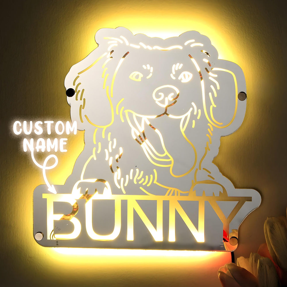 Pet Mirror Light