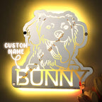 Pet Mirror Light