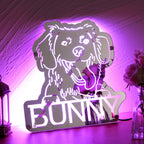 Pet Mirror Light