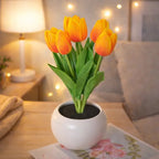 Tulip Night Light