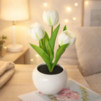 Tulip Night Light