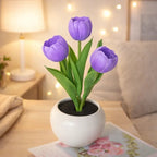 Tulip Night Light