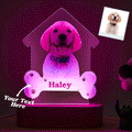 Puppy Photo Light