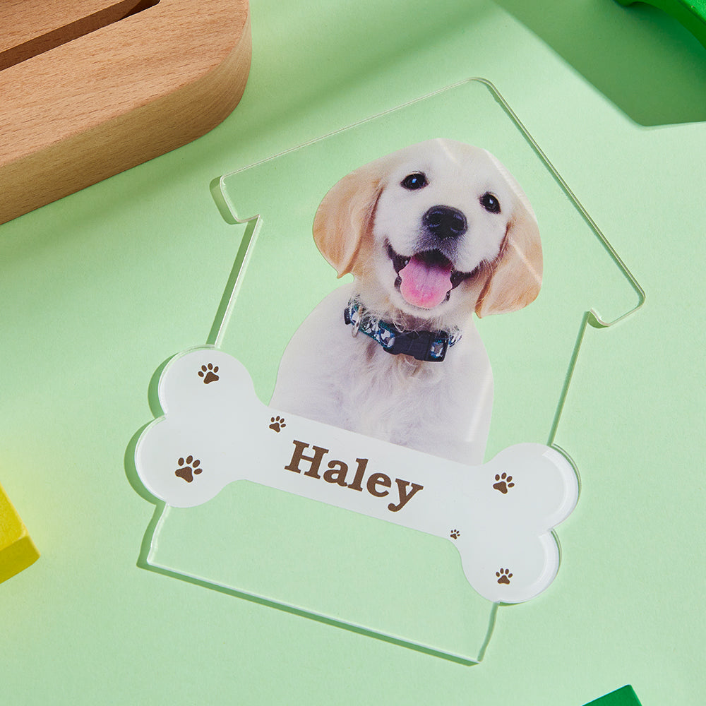 Puppy Photo Light