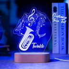 Acrylic Instrument Light