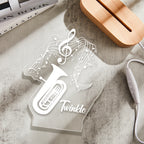 Acrylic Instrument Light