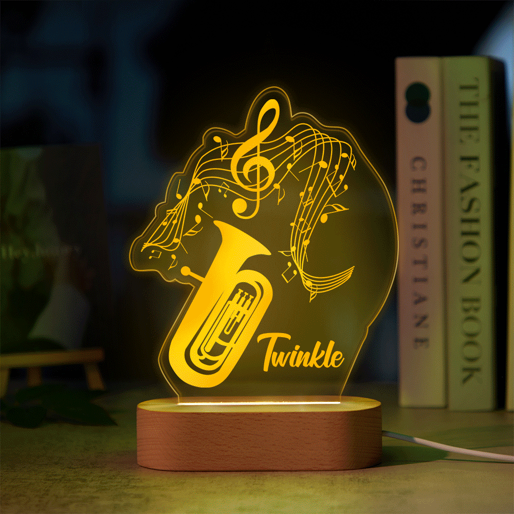 Acrylic Instrument Light