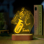 Acrylic Instrument Light