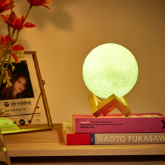Lunar Moon Lamp