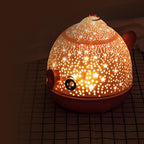 Star Projection Light